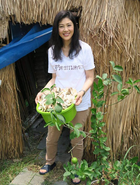 [-]Cựu[-]thủ[-]tướng[-]Yingluck[-]trồng[-]nấm[-]khi[-]xa[-]rời[-]chính[-]trường